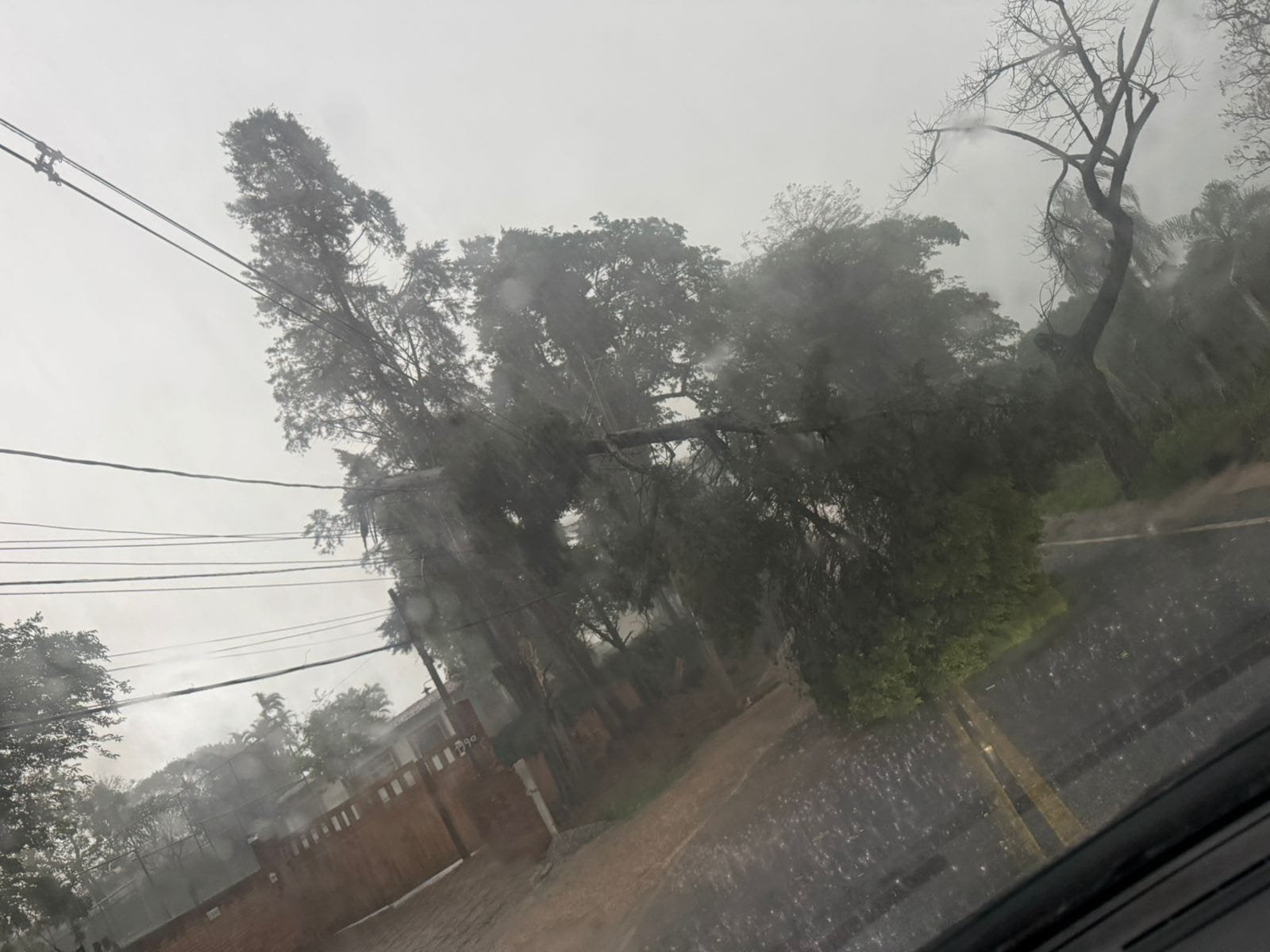 Chuva derruba árvore e fecha via que liga Itupeva a Cabreúva